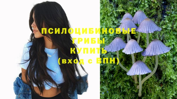 винт Арсеньев