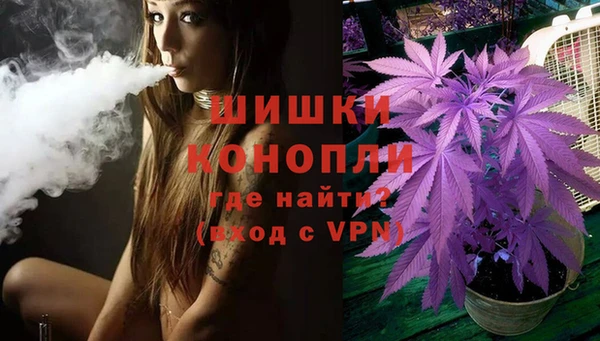 дмт Алзамай