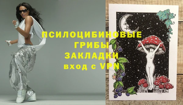 винт Арсеньев