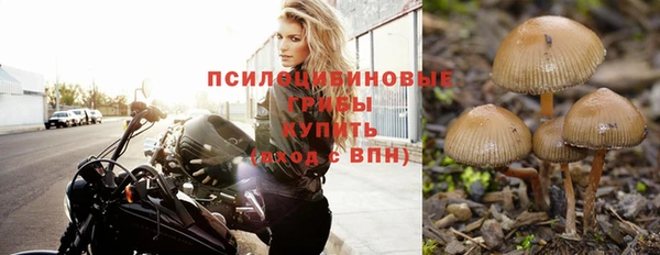 первитин Армянск