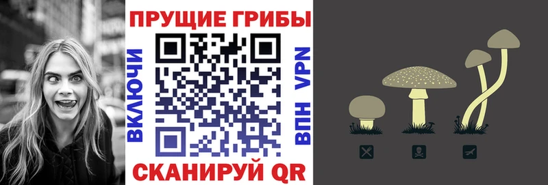 Галлюциногенные грибы прущие грибы  Козьмодемьянск 